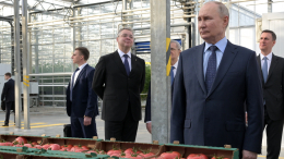 Путин: в России рекордные показатели экспорта агропродукции