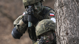 В Польше оценили возможность отправки войск на Украину
