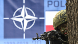 МИД Польши: некоторые страны НАТО уже отправили военных на Украину
