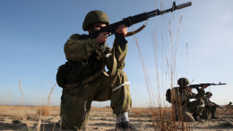 Белоруссия объявила о проверке боевой готовности воинских частей