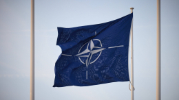 Иллюзий не осталось: в Совфеде назвали основную цель НАТО в отношении России