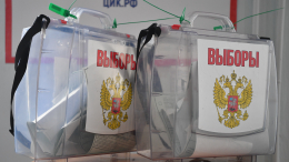 Власти Молдавии недовольны открытием избирательных участков РФ в Приднестровье