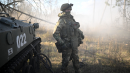 Российские военные освободили пункт Невельское в ДНР