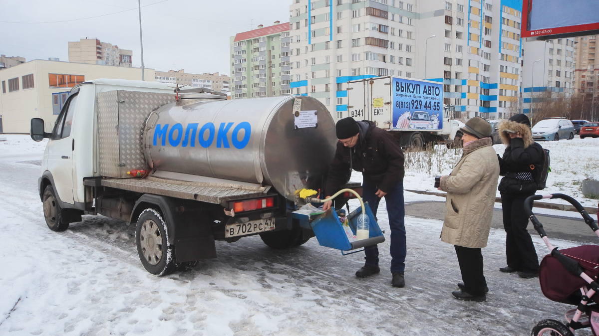 Не пробовать и не подходить? Чем опасно молоко из бочек на улицах