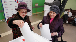Более 3,1 миллиона избирателей проголосовали в Москве к утру 16 марта