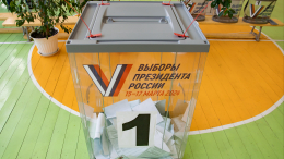 «Мы выяснили»: Памфилова сообщила, кто управляет провокаторами на избирательных участках