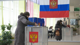 Жители Новосибирска активно участвуют в выборах президента вопреки метели