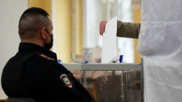 МВД РФ возбудило 33 уголовных дела из-за проноса краски на избирательные участки
