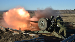 «Точно в цель»: как российская артиллерия выбивает ВСУ с позиций у села Работино