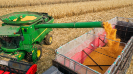Страны Балтии, Польша и Чехия призвали запретить импорт зерна из России