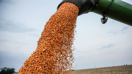 Евросоюз планирует повысить таможенные пошлины на зерно из России