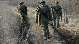 Саперы обезвредили заминированную украинскими военными ЛЭП