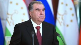 Глава Таджикистана провел телефонный разговор с Путиным после теракта в «Крокусе»