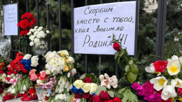 Несут цветы, зажигают свечи: Вена присоединилась к акции памяти по жертвам теракта в «Крокусе»