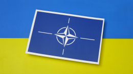 «Исчезнет, растворится»: во Франции оценили последствия членства Украины в НАТО