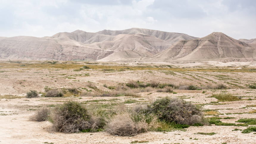 Ученые нашли в Иудейской пустыне древний гороскоп для характеристики личности