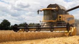Импорт раздора: Франция и Польша выступили за ограничение ввоза зерна с Украины