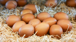 Природная защита: диетологи выявили неожиданную пользу яиц