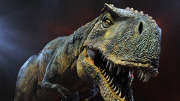 Следы невиданных зверей: могли ли люди и динозавры жить вместе