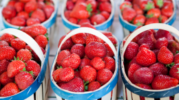 В России стартовал сезон клубники: за сколько можно будет купить ягоду
