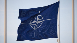 «Полная деградация»: названы последствия агрессии НАТО в отношении РФ