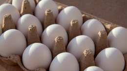 ФАС проверяет крупнейшие торговые сети из-за роста цен на яйца