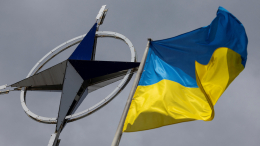 «Недостаточно сказать»: в США призвали НАТО разорвать отношения с Украиной