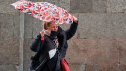 Штормовой ветер обрушился на Москву, в городе закрываются парки