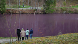 Необычно красивое явление: озеро в Баварии окрасилось в ярко-фиолетовый цвет