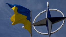 Стул № 33, пожалуйста: в Раде попросили зарезервировать место для Украины в НАТО, но есть нюанс