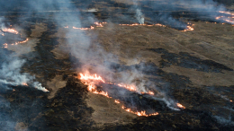 Поджигателям травы в Приамурье назначили штраф более 600 тысяч рублей