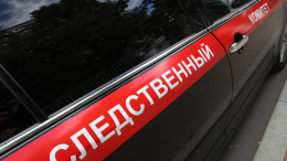 СК возбудил уголовное дело после обрушения моста в Смоленской области