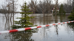 Опасный поток: 14 захоронений с сибирской язвой оказались затоплены из-за наводнений