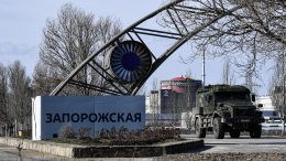 «Мы в шаге от ядерной катастрофы»: директор Запорожской АЭС Черничук отреагировал на масштабную атаку ВСУ