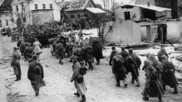 Сорвали план: как советские солдаты помешали группе французов-нацистов в 1943-м