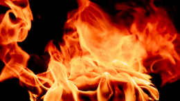 Приморье в огне: как регион борется с природными пожарами