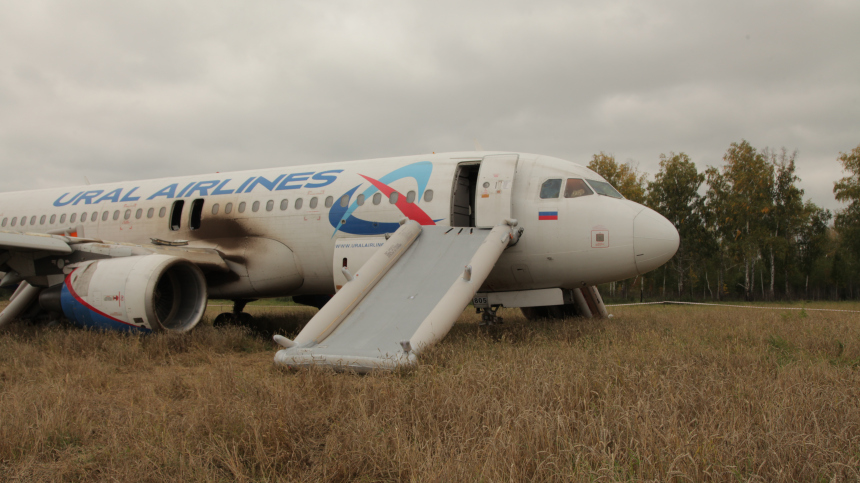 Посадивший самолет в поле под Новосибирском пилот ушел из «Уральских авиалиний»