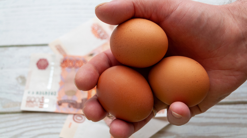 ФАС предостерегла продавцов от повышения цен на куриные яйца перед Пасхой