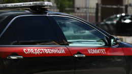 39-летний мужчина изнасиловал пенсионерку в городе Пушкино