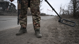 «Жалости не имеют»: украинские боевики прячут мины в убитых животных