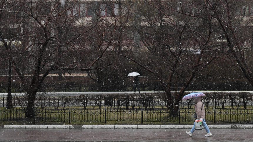 Зима возвращается: холод, ветер и дожди накроют Москву на Пасху