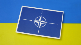 «Безумие Европы»: в Венгрии раскрыли намерения НАТО по поддержке Украины