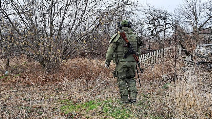 В России предложили передавать изъятое огнестрельное оружие в зону СВО