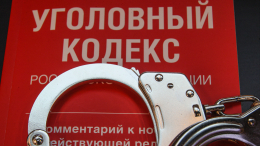 Уголовное дело возбуждено по факту стрельбы по полицейским в Петербурге