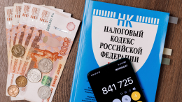Комитет Госдумы призвал установить минимальный уровень дохода для повышения НДФЛ