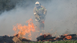 В Бурятии бушуют лесные пожары: последняя информация о ЧС