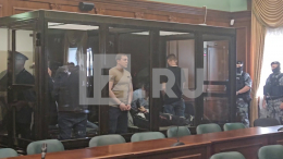 Суд в Москве приговорил криминального авторитета Шишкана к пожизненному сроку