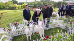 Ким Чен Ын подарил Путину двух охотничьих собак