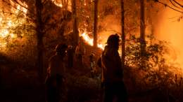 Лесные пожары охватили несколько регионов в Турции