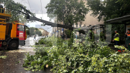В Петербурге во время урагана погибла женщина